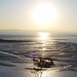 갯벌에 드리운 <b>햇살</b> 길...