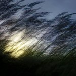 가을의 <b>언덕</b>, 그 위에서.... (8)