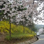 수원에 역사적인 <b>명소</b>