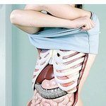 옷벗는 여자의 <b>그</b> <b>속</b>이 궁금하시다면..