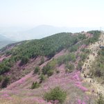오늘은 마지막으로 더 올립<b>니더</b>예11