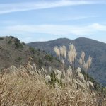 <b>지리산</b> 노고단 &amp; 임걸령 억새 -2