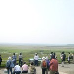 <b>쿠시</b>로