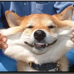 <b>스마</b>~~일 ^_______________^