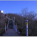 어느 산의 <b>산책로</b>에서