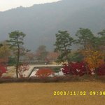 호암미술관 <b>주정</b>