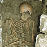 무덤 발굴로 모짜르트 <b>dna</b> 검사한다