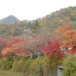 내장사 단풍 <b>인파</b> (11-3 현재) -1