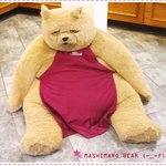 곰의 표정 <b>주목</b> ~