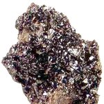 굴은 바다의 산삼