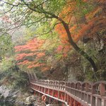 <b>치악산</b>4