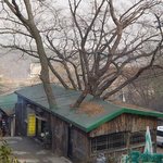 자연과의 <b>조화</b>