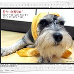 뜨아! 경악! 럴수럴수 이럴수가! 으아아악!