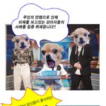 행님 뉴우<b>쓰</b>~!! 강<b>쥐</b>버젼 ㅋㅋ