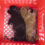 부부싸움후의 <b>냉전</b>중(상상만 해도 웃음이 납니다)