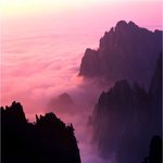 오늘도 무사히 올립<b>니더</b>예