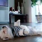 거실 한 중앙에서 <b>대자</b>로..