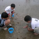 아이들이 더 신난 제<b>부도</b>