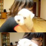 강아지랑 나랑 <b>포옹</b>♥