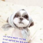 <b>성냥</b>팔이 소녀?? 소년??