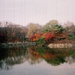 가을의<b>흔적</b>