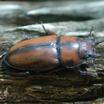 한라산의 신비 08