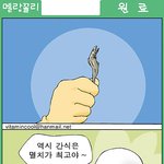 멜랑꼴리-<b>원료</b>