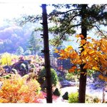 가을의 아침과 <b>단풍</b>