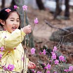 연<b>분홍</b>빛 봄의 미소