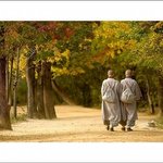 <b>여중생</b>의 뒷모습