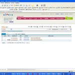 30번째 등록번호(<b>특허</b>,실용)