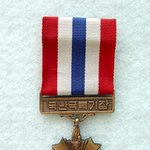 <b>영광</b>의 국난극복기장
