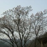 오늘 좀 더 올립<b>니더</b>예