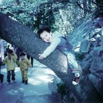 동완이 <b>매미</b>