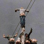 전봇대<b>위</b>에서 <b>옷</b>벗고 뭐하냐 !!
