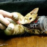 즐거운 상상! <b>지퍼</b>를 열어봐~