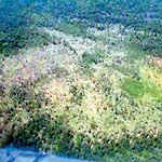 <b>ufo</b> 출현인가 회오리 때문인가