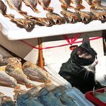 보고 배워야 할 <b>인내</b>의 모습