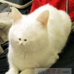모여라 <b>눈코</b>입!!