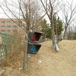 신호등 <b>납치</b> 사건