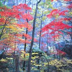 좀만 올립<b>니더</b>예5
