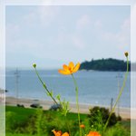바다가 보이는 <b>정원</b>에서...