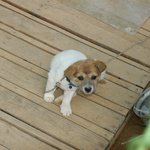 울집 막내 식구- <b>방석</b>이~~-