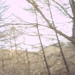 청태산 자연휴양림 <b>폰카</b> 사진
