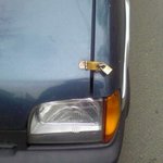 티<b>코안</b>에 도대체 뭐가 있길래?