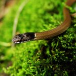 한라산의 신비 10