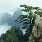 오늘도 무사히 올립<b>니더</b>예4