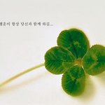 <b>행운</b>을 드립니다