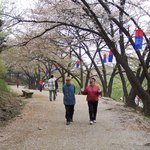 연대<b>뒷산</b> 이야기