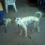 <b>민박</b> 주인장의 센스